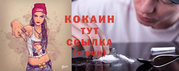 шишки Аркадак