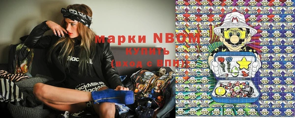 шишки Аркадак