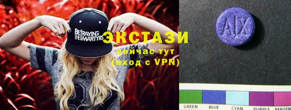 шишки Аркадак
