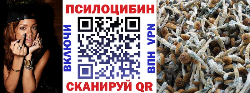 Галлюциногенные грибы Magic Shrooms Снежногорск