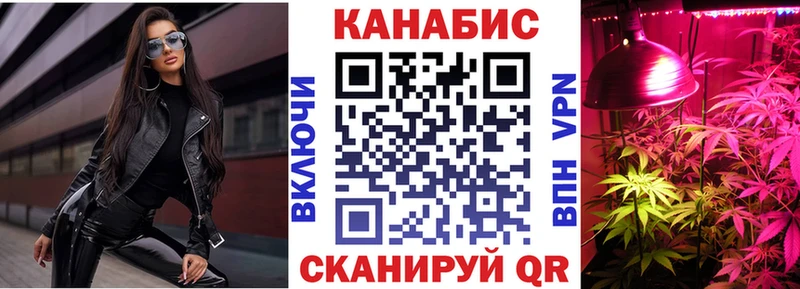 Конопля гибрид  Купить закладки  Снежногорск 